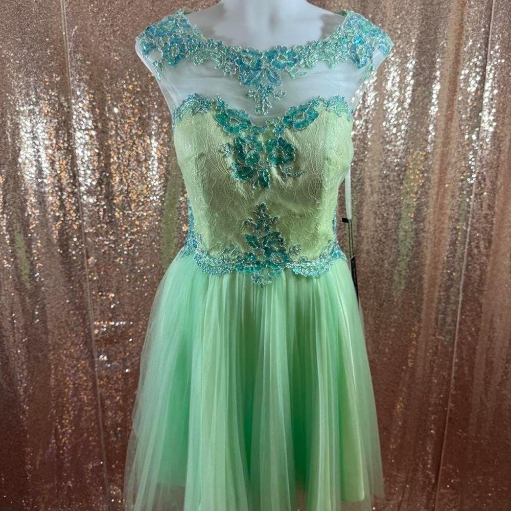 NWT Poly USA Green Tulle Floral Embroidered Dress with Scarf/Sizes M-L-XL
